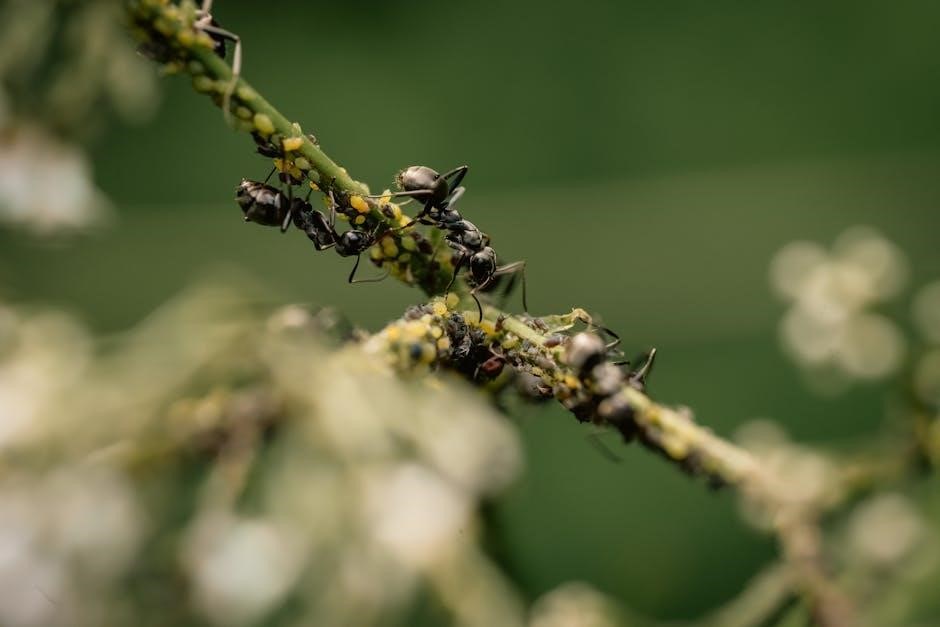 arkansas ants identification guide